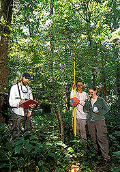 A research assistant and two technicians use a modified microsecurity camera to spy on nest activity: Click here for full photo caption.