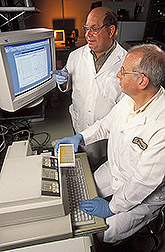 Biologist and chemist review results of a rapid immunoassay: Click here for full photo caption.