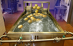 Surface pasteurization of cantaloupes using a commercial-scale dump tank: Click here for full photo caption.