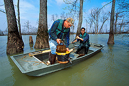 Ecologists sample bottom sediments in Thighman Lake. Click here for full photo caption.
