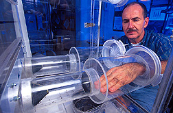 Entomologist demonstrates the attraction of female yellowfever mosquitoes to his hand in an olfactometer. Click here for full photo caption.