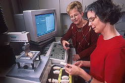 Food technologists discuss fiber orientation of a chicken breast sample: Click here for full photo caption.