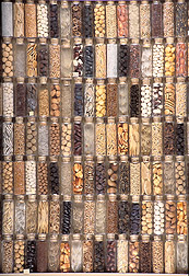 A display of seeds from the late 1890s: Click here for full photo caption.