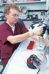 Technician prepares purified plasmids containing individual swine influenza A virus gene segments: Click here for full photo caption.
