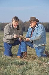 Research leader and farmer examine decomposing straw after grass seed harvest: Click here for full photo caption.