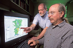 Agronomist and hydrologist look at weed distribution patterns: Click here for full photo caption.