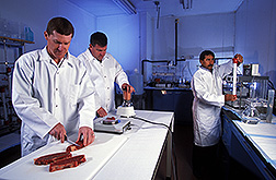 Two food technologists prepare muscle for calpain extraction as physiologist separates calpain and calpastatin: Click here for full photo caption.