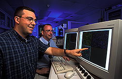 Food technologist and molecular biologist examine fluorescent micrographs of bacteria: Click here for full photo caption.