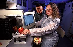 Food technologist and chemist evaluate an apple before processing and irradiation treatments: Click here for full photo caption.