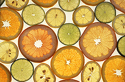 Citrus slices: Click here for photo caption.