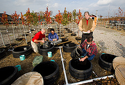 Extension horticulturist, agricultural engineer, plant pathologist, and technician collect water samples from a pot-in-pot tree-production research site: Click here for full photo caption.