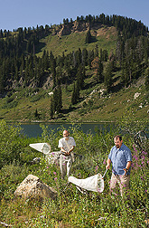 Entomologists sample a mountain meadow for wild bees at Tony Grove Lake in northern Utah: Click here for full photo caption.