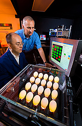 Electrical engineer (left) and agricultural engineer evaluate image results from the microcrack detection system: Click here for full photo caption.