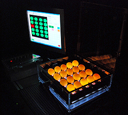 A specialized camera captures images of illuminated eggs inside this see-through case: Click here for full photo caption.