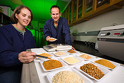 Technician and research leader sample corn-based feed ingredients for nutrient-composition testing prior to feeding trials: Click here for full photo caption.