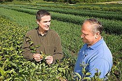 Plant pathologist (left) and technician inspect crown rust infections on common buckthorn, an alternate host: Click here for full photo caption.