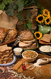 ARS scientists are helping farmers, food producers, and consumers reap production and nutritional benefits through oat and barley research. Some of the many foods we derive from oats and barley are breads, health bars, pearled barley, barley and oat flakes, hot and cold cereals, and oat and barley flour: Click here for photo caption.