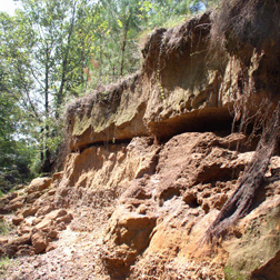 An example of seepage erosion from a section of Goodwin Creek in Mississippi: Click here for photo caption.