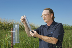 Microbiologist reads a rain gauge in a study to determine switchgrass water-use efficiency: Click here for full photo caption.