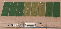 Aerial view of the Hot Serial Cereal experiment shows the effects of turning up the heat on wheat: Click here for full photo caption.