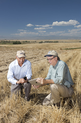 Research leader (left) and collaborator check the ease of entering farm operation information on a smart phone instead of on a tablet computer: Click here for full photo caption.