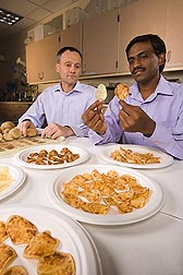 Research associates Godfrey Miles, ARS, (left) and Venkatesan Sengoda, Washington State University, evaluate symptoms in fried chips made from potatoes infected with zebra chip: Click here for photo caption.