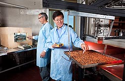 In Albany, California, research engineer Zhongli Pan (right) and food technologist Don Olson conduct almond pasteurization tests using infrared heating and a hot-air roaster: Click here for photo caption.