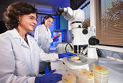 Technician Polly Goldman (left) observes bacterial characteristics while biological science aide Teresa Jardini isolates DNA from bacteria for pathogen identification: Click here for photo caption.