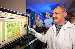 Geneticist Qijian Song (left), research leader Perry Cregan (center), and plant geneticist Charles Quigley observe the scanning of an Illumina BeadChip to complete the genetic analysis of soybean DNA samples from each of 24 soybeans with more than 50,000 DNA markers: Click here for photo caption.