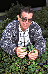 Chemist Harold Pattee with hairy peanut plants