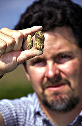 Tom Isleib compares a Mexican hairy peanut (left) to the standard Virginia peanut