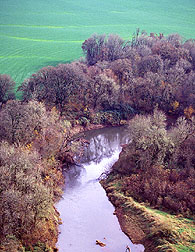 Aerial view of the Calapooya River.