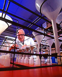 Chemist Chris Roager extracts nitrogen from soil samples taken from test plots. Click here for full photo caption.