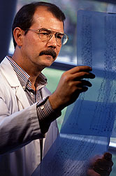 Geneticist Randy Shoemaker evaluates DNA sequencing reactions. Click here for full photo caption.
