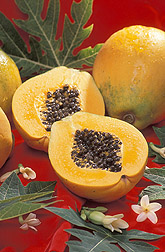 Gold, a new papaya variety developed by a plant physiologist: Click here for full photo caption.