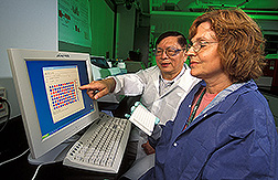Chemist and microbiologist detect E. coli: Click here for full photo caption.