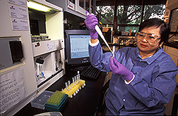 Photo: Chemist prepares egg samples for analysis. Link to photo information