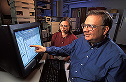 Two chemists analyze veterinary drug data: Click here for full photo caption.