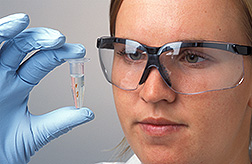 Technician holds tube that contains beads coated with antibodies: Click here for full photo caption.