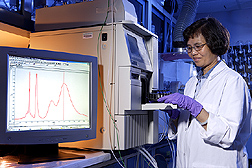 Chemist monitors the purity and quantity of glyceollins produced by Aspergillus sojae-treated soybean seeds: Click here for full photo caption.