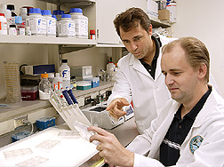 Chemist and biologist examine results of breast cancer cells combined with different concentrations of glyceollins: Click here for full photo caption.