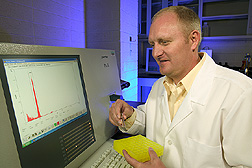 Geneticist analyzes the DNA content of new types of forage kochia from Kazakhstan and Uzbekistan: Click here for full photo caption.