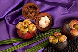 Mangosteen: Click here for photo caption.