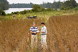 Soil scientist (front left) and biologist examine a soil sample collected from a row crop area adjacent to the lake. In the background, technician operates a survey-grade GPS system to document sampling locations in the buffer area: Click here for full photo caption.