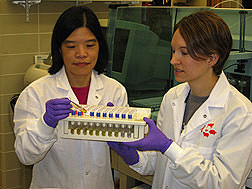 Chemist (left) and technician examine ELISA test results of river water, tap water, and sewage samples for content of the widely used antibacterial agent triclosan: Click here for full photo caption.