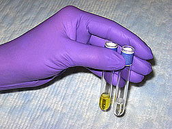 Yellow color represents low or no triclosan, while the clear color represents high concentration of triclosan in the sample: Click here for photo caption.