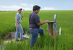 In studies of water use, runoff, and water quality, ARS agricultural engineer (right) and University of Arkansas technician collect data from a MIRI system: Click here for full photo caption.