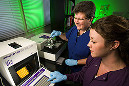 Microbiologist (left) and technician perform antimicrobial susceptibility testing on a bacterial culture: Click here for full photo caption.