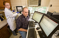 Entomologist and technician examine DNA sequences of boll weevil microsatellite markers to be used in population assignment analysis: Click here for full photo caption.