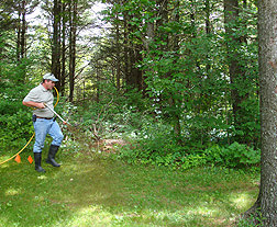 Nootkatone application in Connecticut by Craig Boland, owner of Grassman, LLC, a company contracted to apply the substance to the perimeters of homeowners’ yards: Click here for full photo caption.
